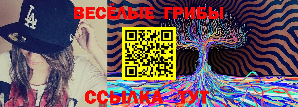 хочу   Псилоцибиновые грибы мухоморы  Вход с VPN  Галлюциногенные грибы MAGIC MUSHROOMS  Дятьково 