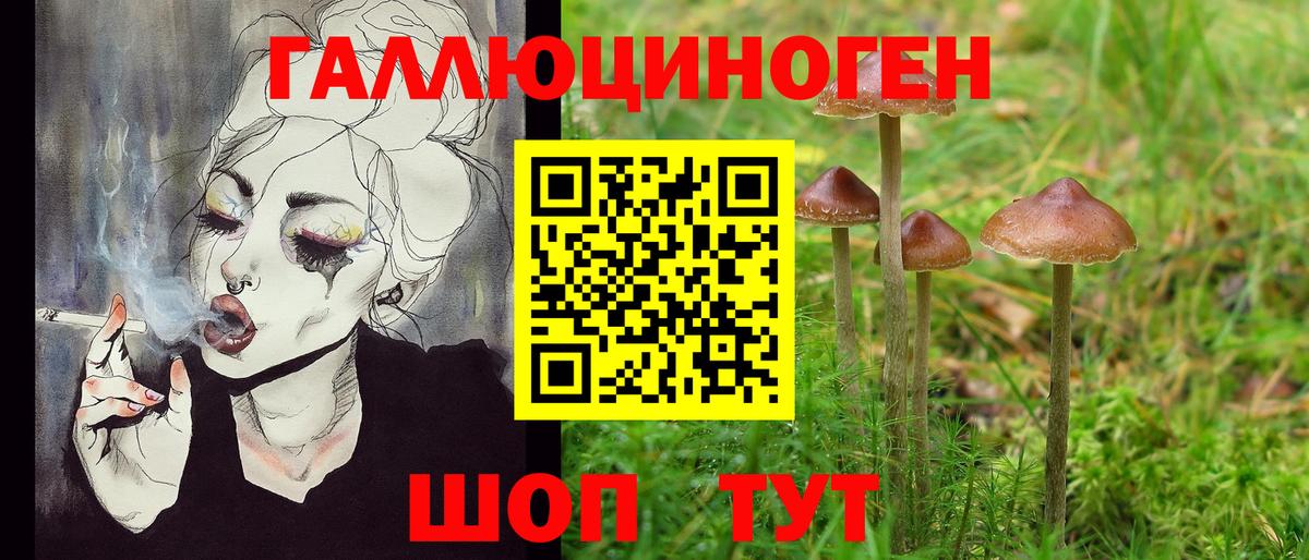 Псилоцибиновые грибы Cubensis Дятьково